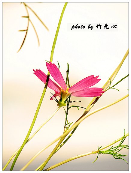 ��δ����