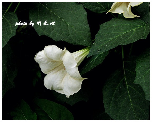 ��δ����