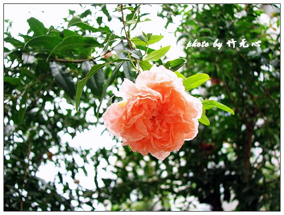 ��δ����