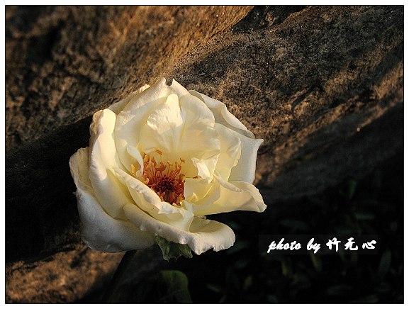 ��δ����