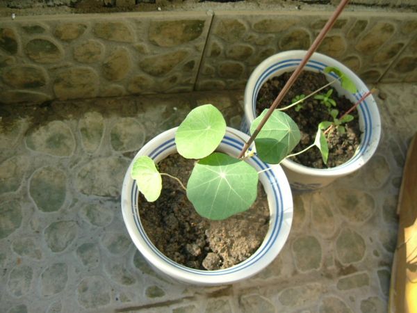 �����¸����ٲ�ά��,���ﲥ������P5�ŵ���������