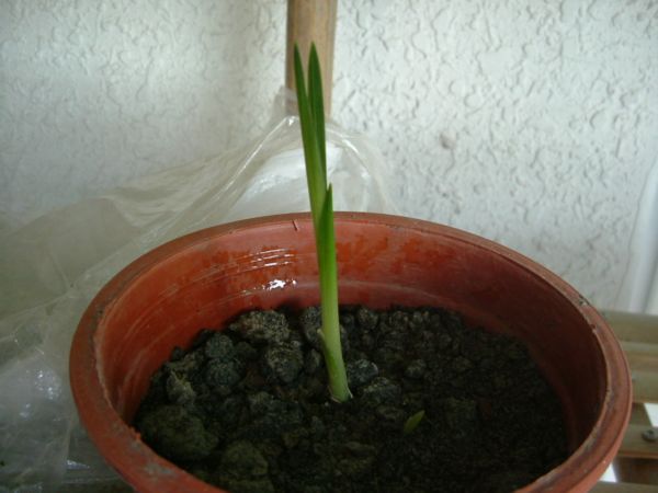 �����¸����ٲ�ά��,���ﲥ������P5�ŵ���������