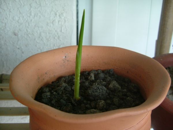 �����¸����ٲ�ά��,���ﲥ������P5�ŵ���������