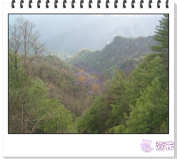 [ԭ��]����