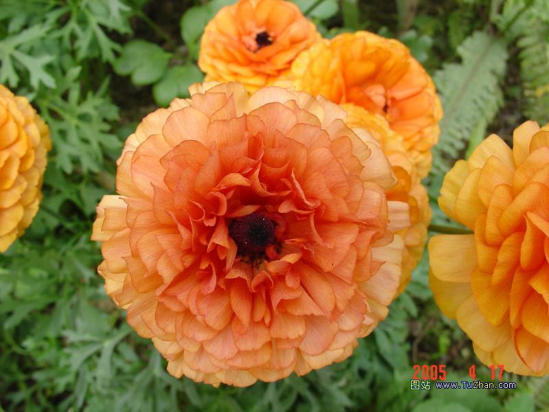 �ÿ��Ļ���