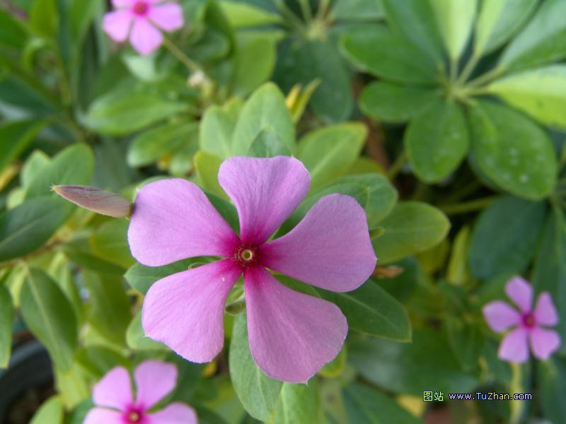 �ÿ��Ļ���