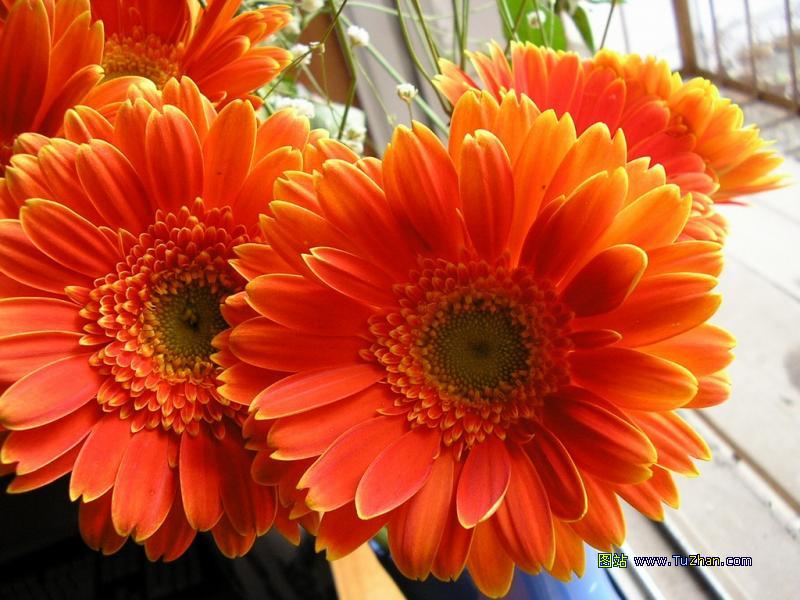 �ÿ��Ļ���