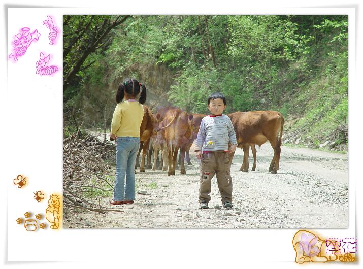 [ԭ��]����