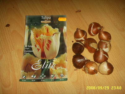 �¹����������������