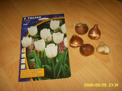 �¹����������������