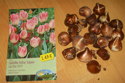 �¹����������������