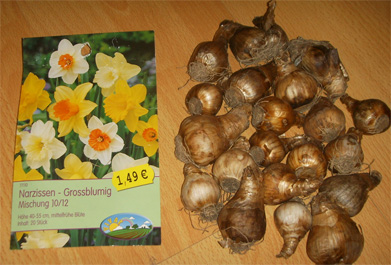 �¹����������������