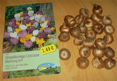 �¹����������������