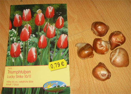 �¹����������������