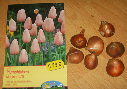 �¹����������������