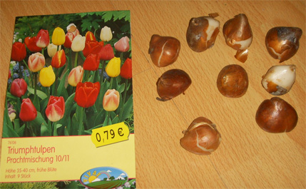 �¹����������������