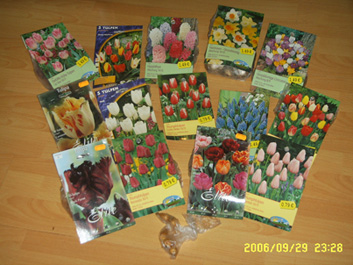 �¹����������������