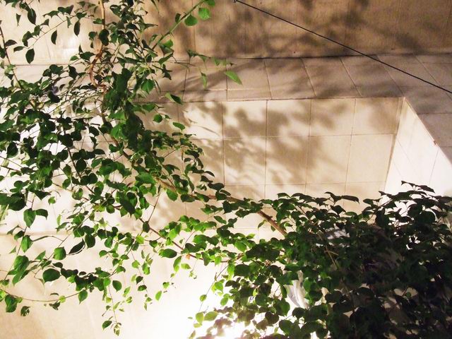 �Ҽҵ�����÷���������