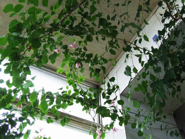 �Ҽҵ�����÷���������