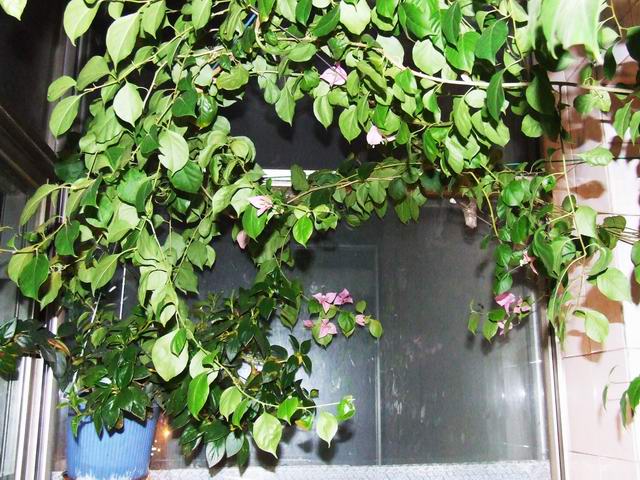 �Ҽҵ�����÷���������