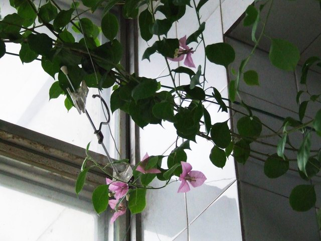 �Ҽҵ�����÷���������