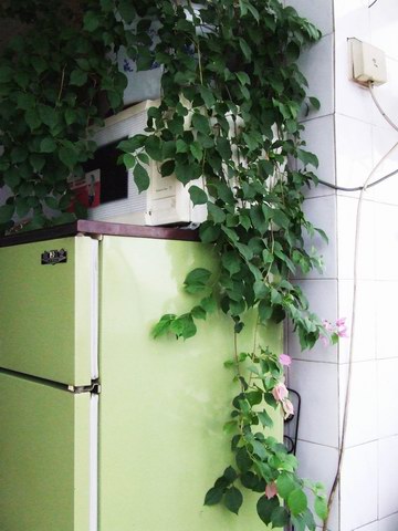 �Ҽҵ�����÷���������