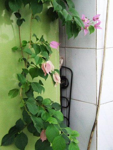 �Ҽҵ�����÷���������