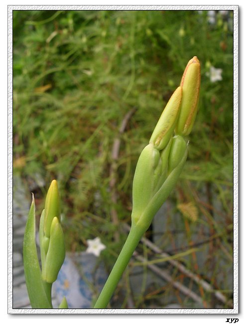 ��ɿ쿪���ˣ�yhjane��������