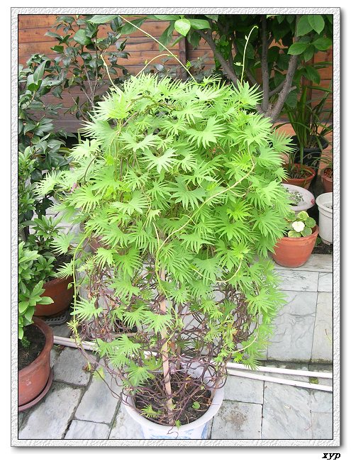 ���ܵ��¼�(��ɫ���ܿ�����)