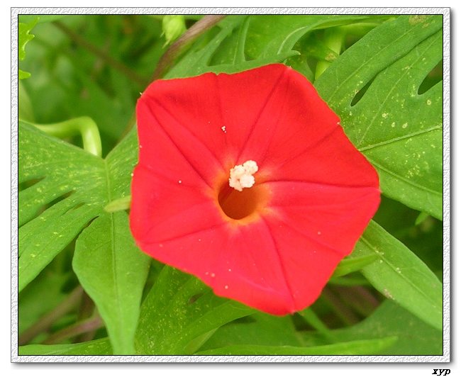 ���ܵ��¼�(��ɫ���ܿ�����)