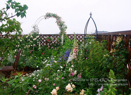 תһ�����Ƽ���˽�һ�԰