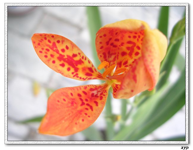 ��ɿ쿪���ˣ�yhjane��������