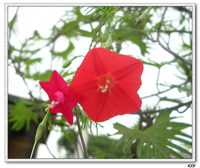 ���ܵ��¼�(��ɫ���ܿ�����)