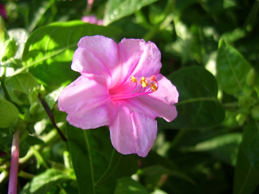 ����Ҳ�ÿ���������