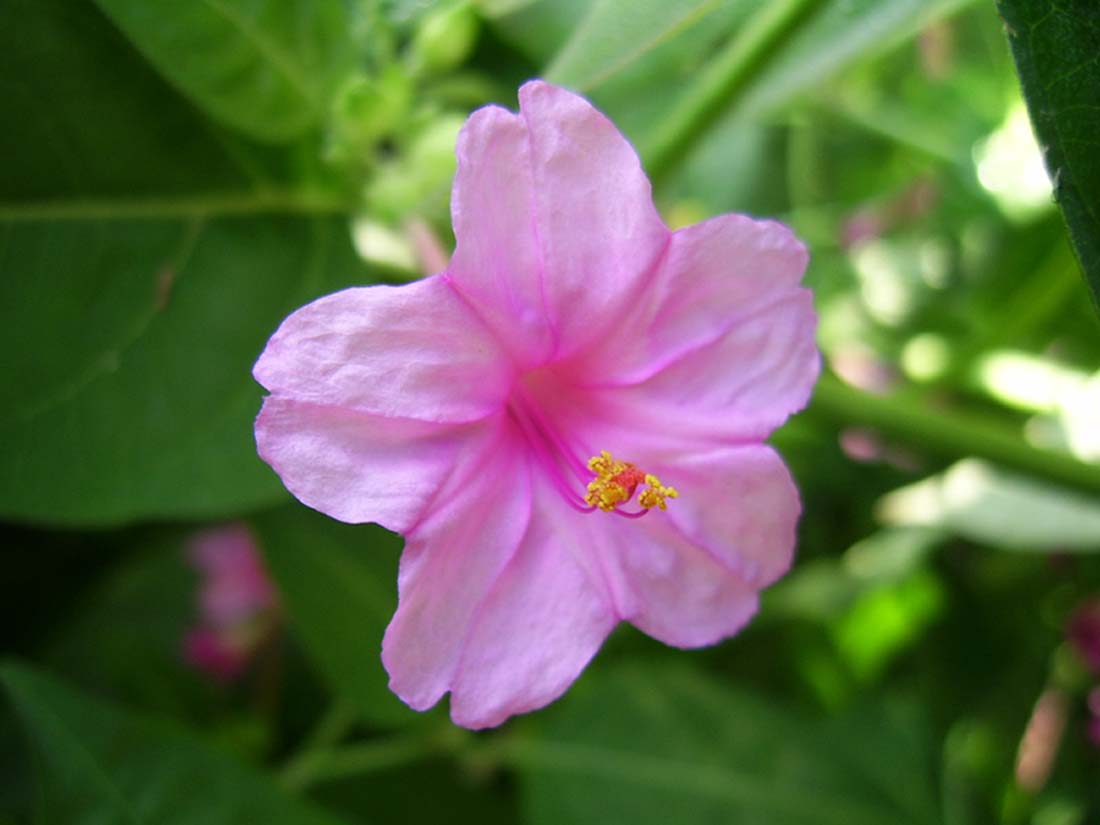 ����Ҳ�ÿ���������