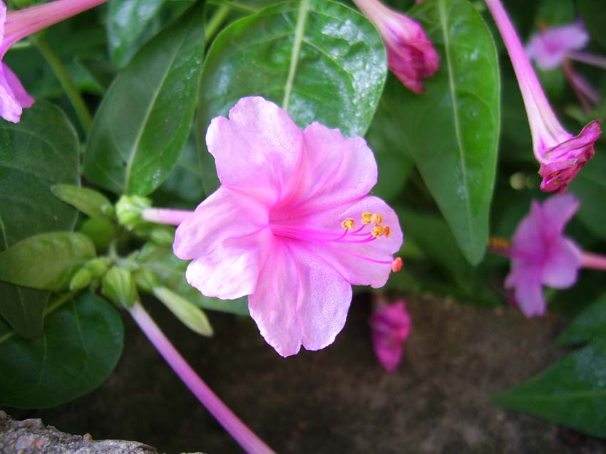 ����Ҳ�ÿ���������