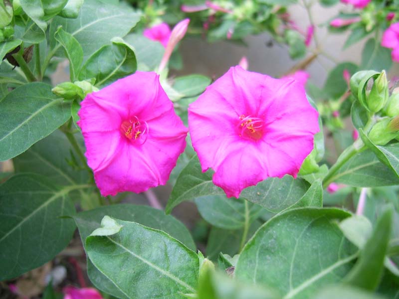 ����Ҳ�ÿ���������