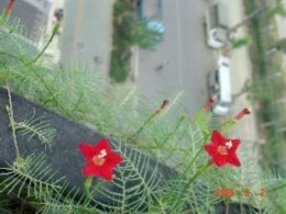 ��(��ʵ����)���ĳɹ�(��������!)