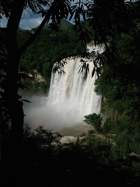 ��Ӱ��Ʒ�����ѡ