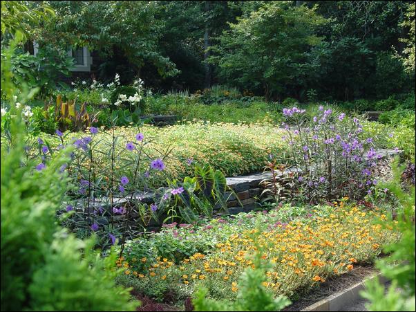 ���߱���