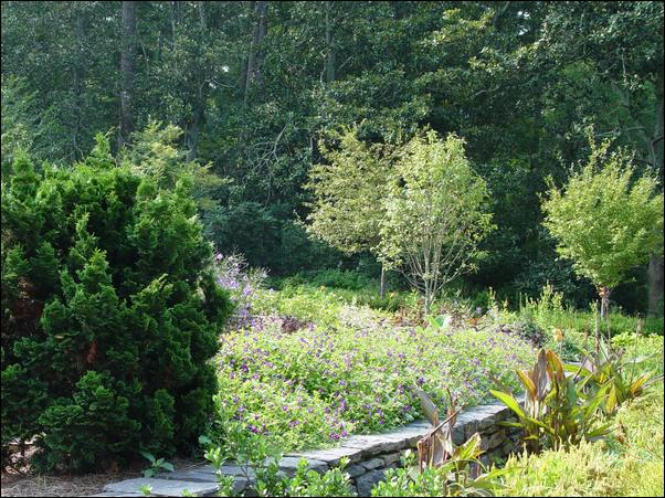 ���߱���