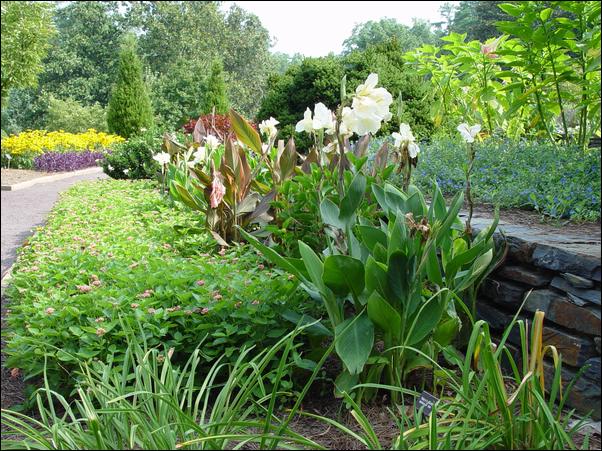 ���߱���