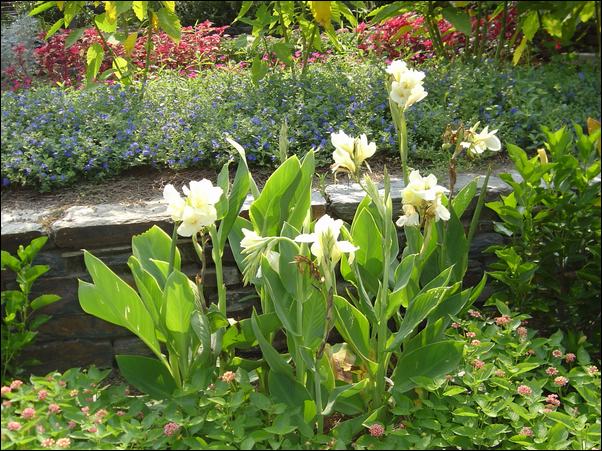 ���߱���