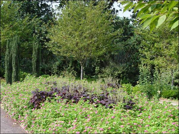 ���߱���