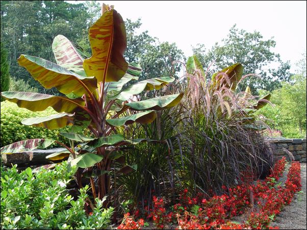 ���߱���