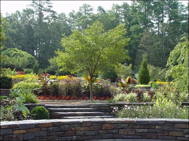 ���߱���