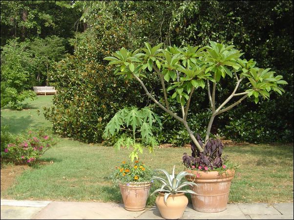 ���߱���