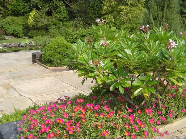 ���߱���