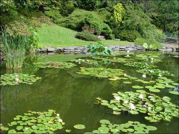 ���߱���