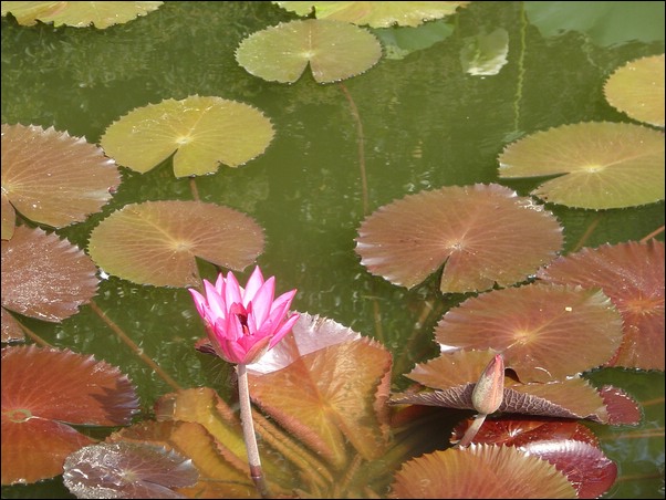 ���߱���